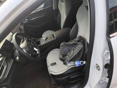 BYD Destroyer 05 Glory Edition DM-i 55KM Luxury - ფოტო 14