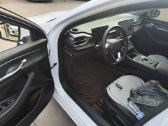 BYD Destroyer 05 Glory Edition DM-i 55KM Luxury - ფოტო 15