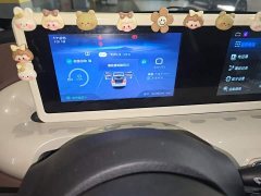 Wuling Binguo 333km Joy Edition - ფოტო 11