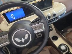 Wuling Binguo 333km Joy Edition - ფოტო 13