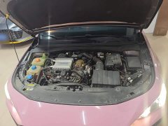 Trumpchi Leopard 270T DCT J16 - ფოტო 19