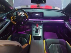 Trumpchi Leopard 270T DCT J16 - ფოტო 9
