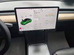 Tesla Model 3 Standard Range RWD Upgrade 3D6 - ფოტო 12