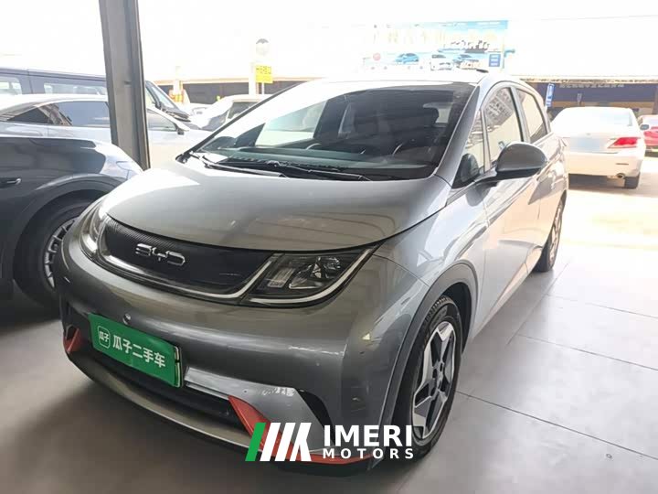 BYD Dolphin 405km Fashion Edition - ავტომობილი ჩინეთიდან