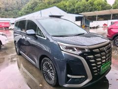 Denza D9 DM-i 970 AWD Premium Edition - ფოტო 3