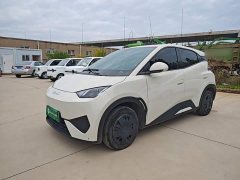 BYD Seagull Smart Drive 305km Vitality Edition - photo 1