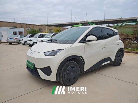 2025 BYD Seagull Smart Drive 305km Vitality Edition - ავტომობილი ჩინეთიდან