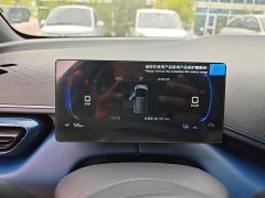 BYD Seagull Smart Drive 305km Vitality Edition - photo 11