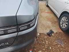 BYD Destroyer 05 DM-i 55KM Luxury - ფოტო 7