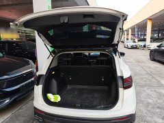 Geely Bingyue 1.5T DCT Diamond Edition - ფოტო 18