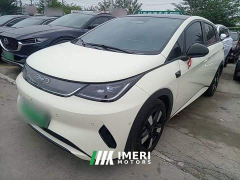 2026 BYD Dolphin Smart Drive 410km Fashion Edition - ავტომობილი ჩინეთიდან