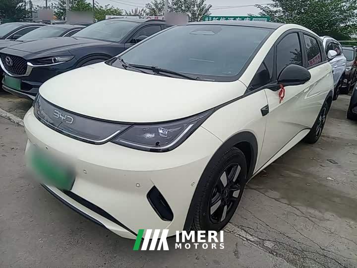BYD Dolphin Smart Drive 410km Fashion Edition