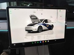 Tesla Model Y Rear-Wheel Drive - ფოტო 12