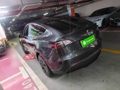 Tesla Model Y Rear-Wheel Drive - ფოტო 4