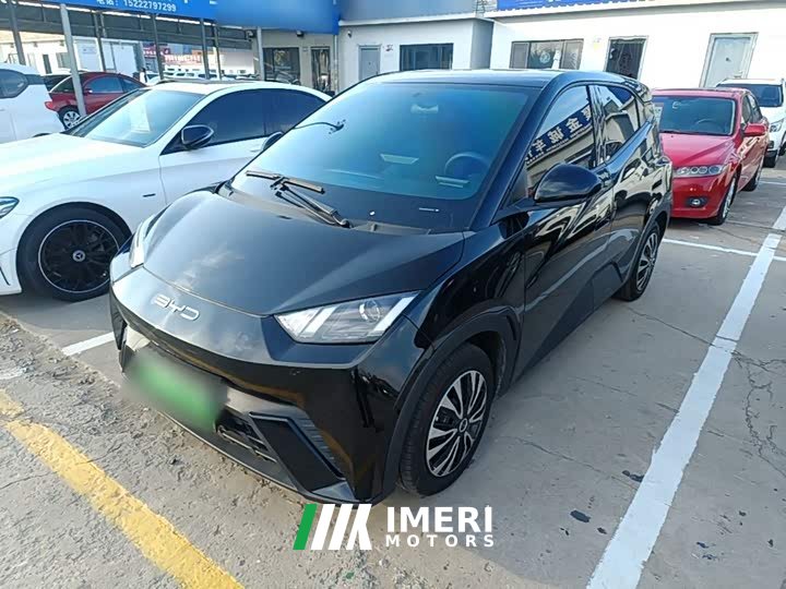 BYD Seagull Glory Edition 305km Vitality Version - ავტომობილი ჩინეთიდან