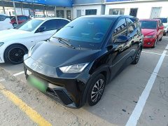 BYD Seagull Glory Edition 305km Vitality Version - ფოტო 1