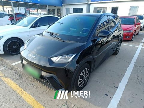 2024 BYD Seagull Glory Edition 305km Vitality Version - ავტომობილი ჩინეთიდან