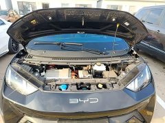 BYD Seagull Glory Edition 305km Vitality Version - ფოტო 19