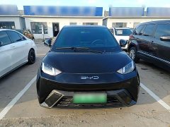 BYD Seagull Glory Edition 305km Vitality Version - ფოტო 2