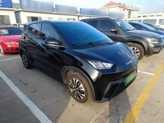 BYD Seagull Glory Edition 305km Vitality Version - ფოტო 3