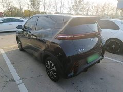 BYD Seagull Glory Edition 305km Vitality Version - ფოტო 4