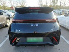 BYD Seagull Glory Edition 305km Vitality Version - ფოტო 5