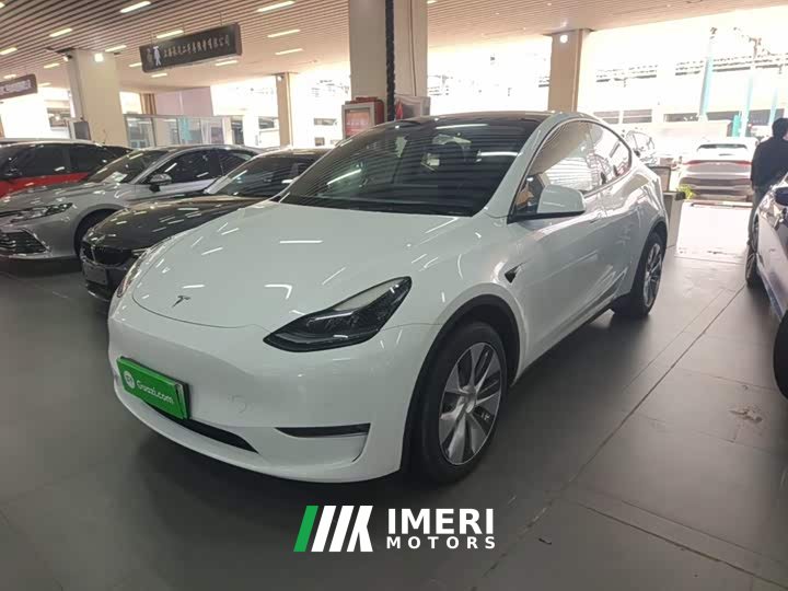 Tesla Model Y Long Range All-Wheel Drive - car from China