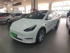 Tesla Model Y Long Range All-Wheel Drive - photo 1
