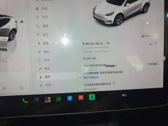 Tesla Model Y Long Range All-Wheel Drive - photo 11