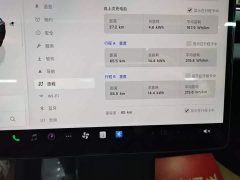 Tesla Model 3 Rear-Wheel Drive - photo 11