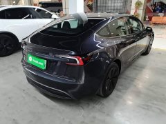 Tesla Model 3 Rear-Wheel Drive - photo 6