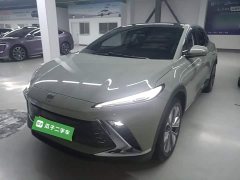Buick E4 Zhenxiang Edition - ფოტო 1
