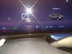 Buick E4 Zhenxiang Edition - ფოტო 11