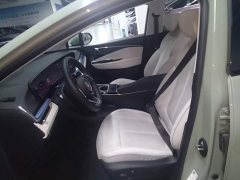Buick E4 Zhenxiang Edition - ფოტო 14
