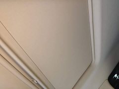 Buick GL8 Land Executive Cabin 652T Luxury - photo 17