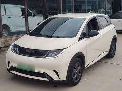 BYD Dolphin Glory Edition 302km Vitality Version - ფოტო 1