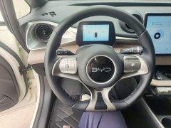 BYD Dolphin Glory Edition 302km Vitality Version - ფოტო 7