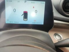 BYD Dolphin Glory Edition 302km Vitality Version - ფოტო 8