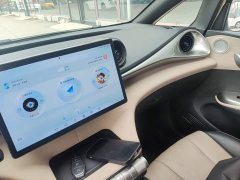 BYD Dolphin Glory Edition 302km Vitality Version - ფოტო 9