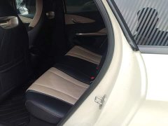 BYD Dolphin Glory Edition 302km Vitality Version - ფოტო 13
