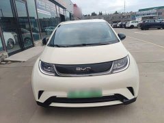 BYD Dolphin Glory Edition 302km Vitality Version - ფოტო 2