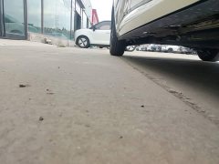 BYD Dolphin Glory Edition 302km Vitality Version - ფოტო 17