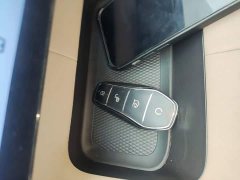 BYD Dolphin Glory Edition 302km Vitality Version - ფოტო 5