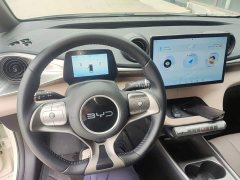 BYD Dolphin Glory Edition 302km Vitality Version - ფოტო 6