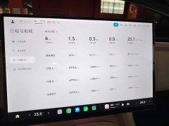 Xiaomi YU7 Rear-Wheel Drive Long-Range Edition - ფოტო 11