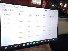 Xiaomi YU7 Rear-Wheel Drive Long-Range Edition - ფოტო 12
