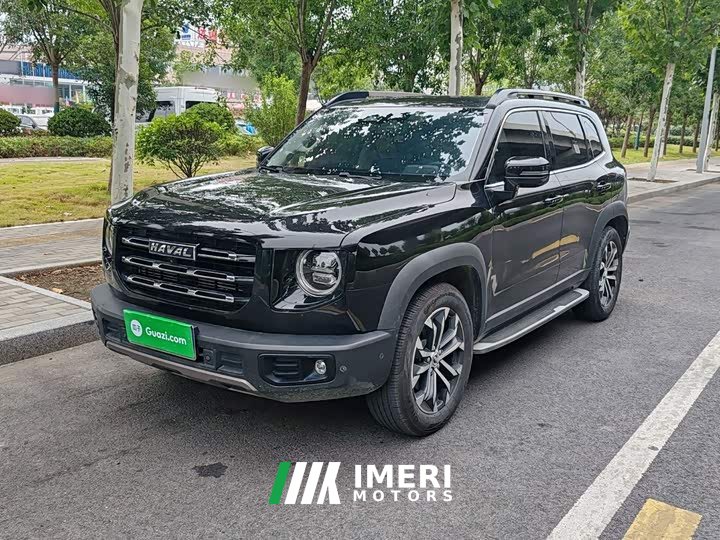 Great Wall Dachshund 1.5T DCT Two-Wheel Drive Malinois Edition