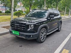 Great Wall Dachshund 1.5T DCT Two-Wheel Drive Malinois Edition - ფოტო 1