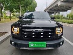 Great Wall Dachshund 1.5T DCT Two-Wheel Drive Malinois Edition - ფოტო 2
