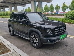 Great Wall Dachshund 1.5T DCT Two-Wheel Drive Malinois Edition - ფოტო 3